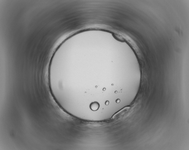 X0000111791199200908201125