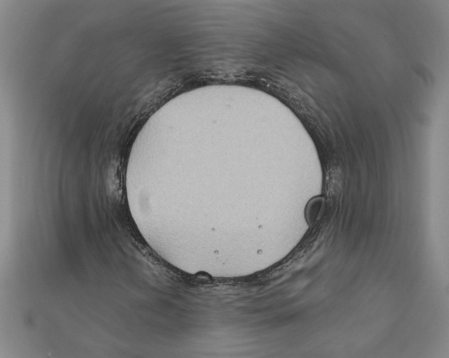 X0000111791202200908201124