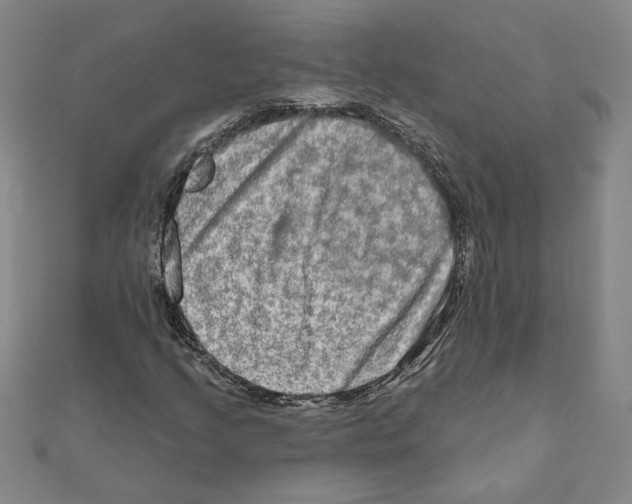 X0000111791205200908201124