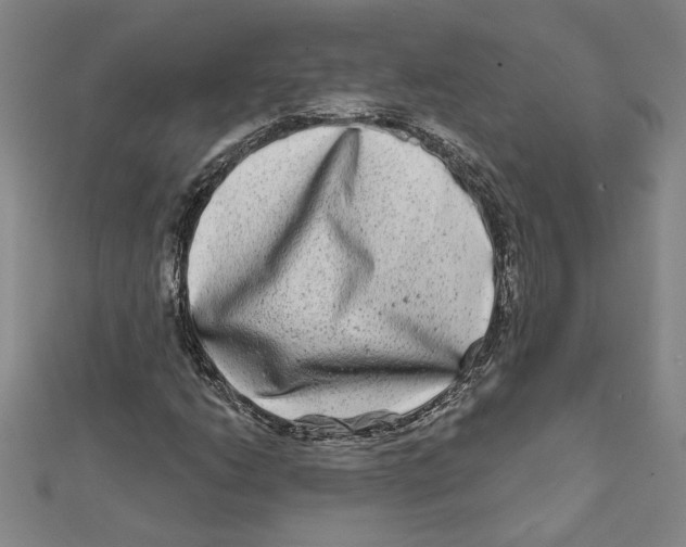 X0000111791206200908201124