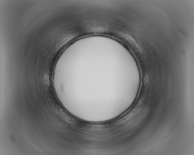 X0000111791209200908201124