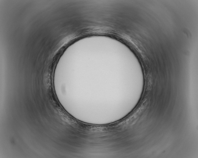 X0000111791211200908201124