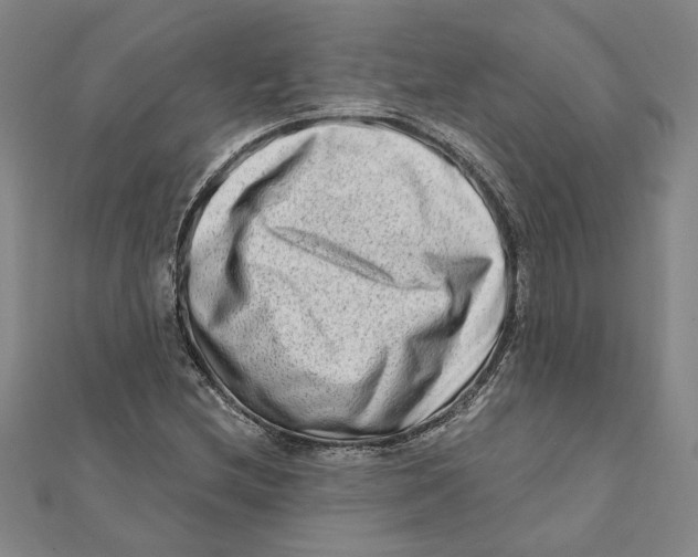 X0000111791212200908201124