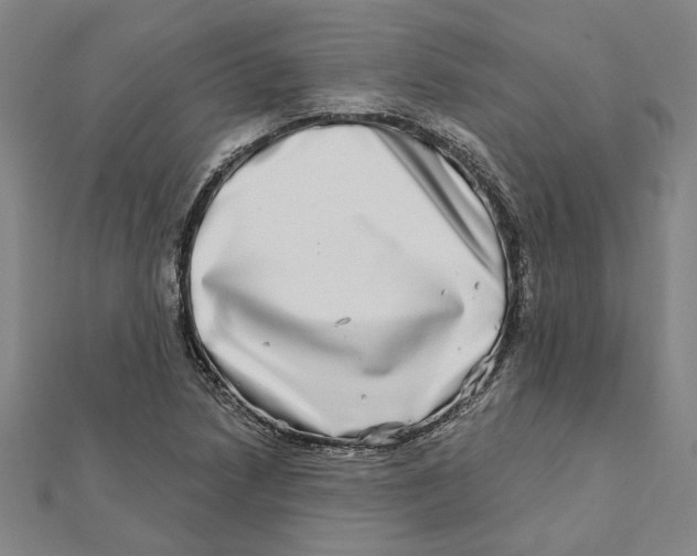 X0000111791218200908201124