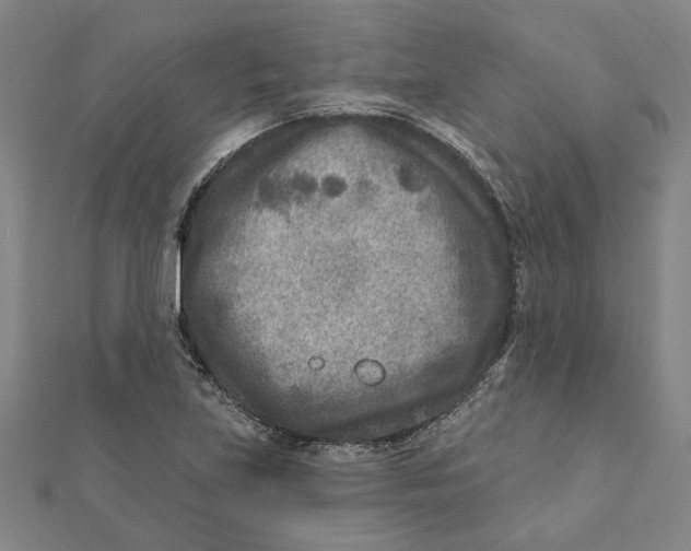 X0000111791219200908201124