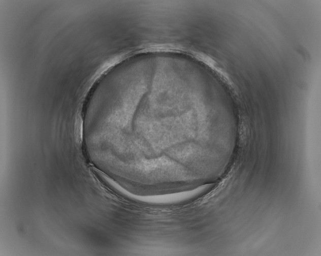 X0000111791221200908201125