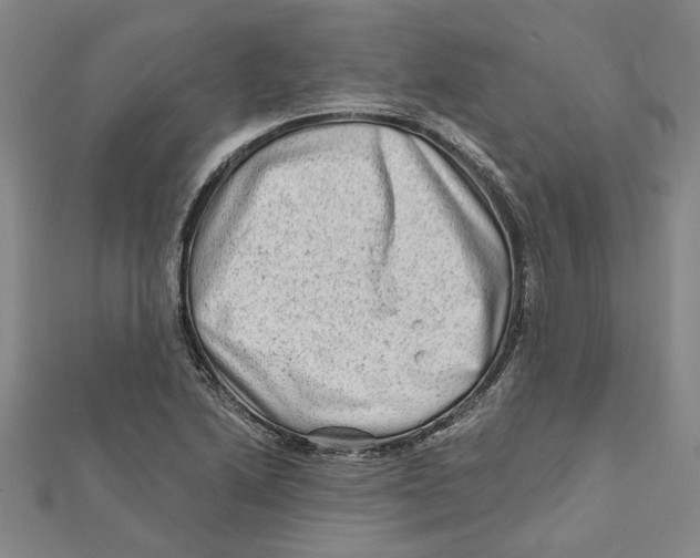 X0000111791222200908201125