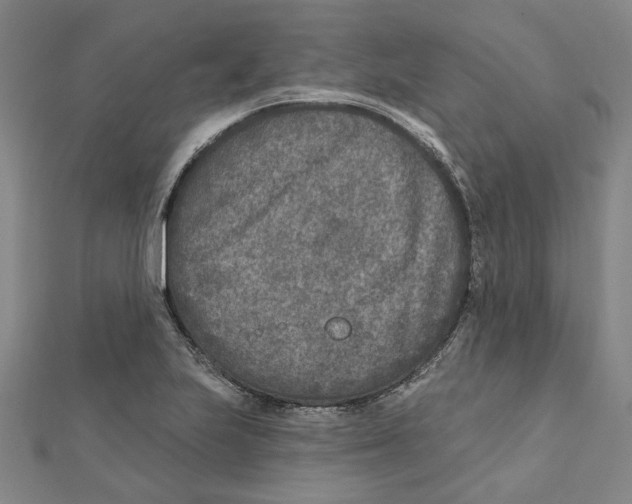 X0000111791223200908201125