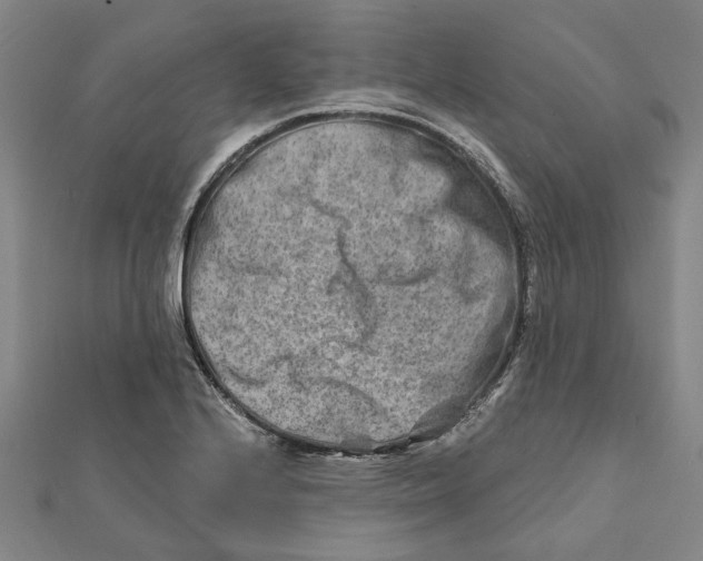 X0000111791224200908201125