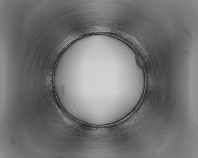 X0000111791225200908201125