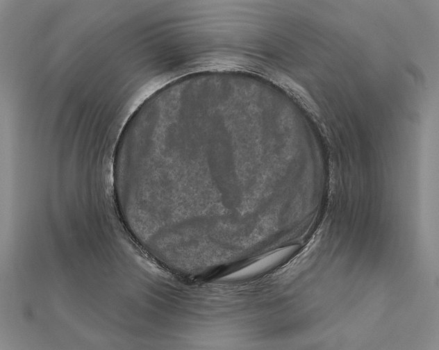 X0000111791226200908201125