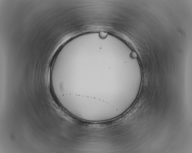 X0000111791227200908201125