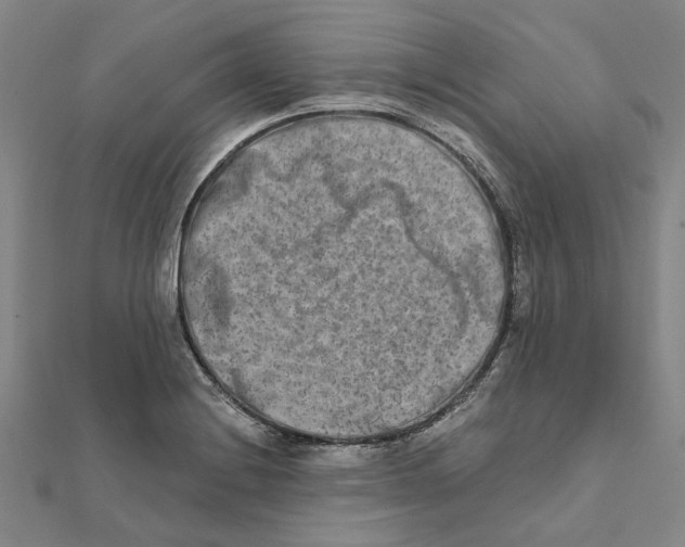 X0000111791228200908201125