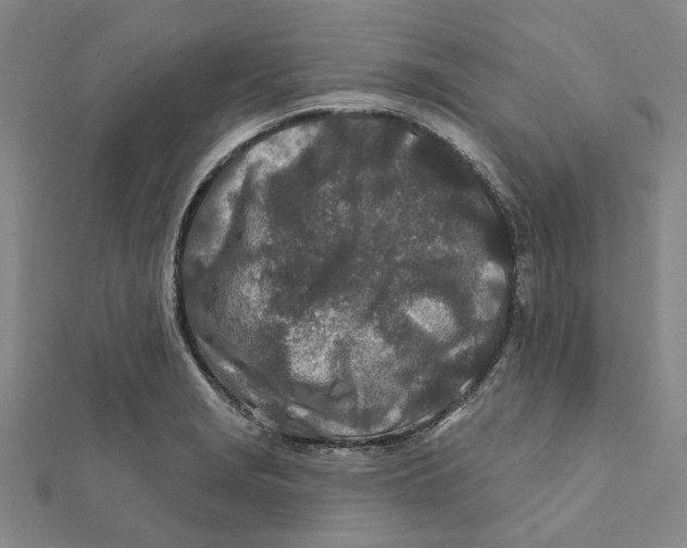 X0000111791229200908201125