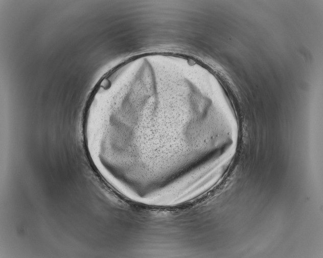 X0000111791230200908201125