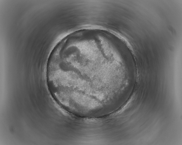 X0000111791231200908201125