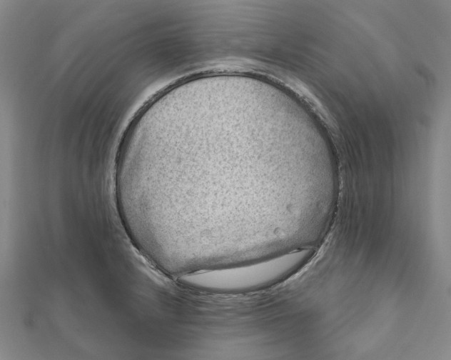 X0000111791232200908201125