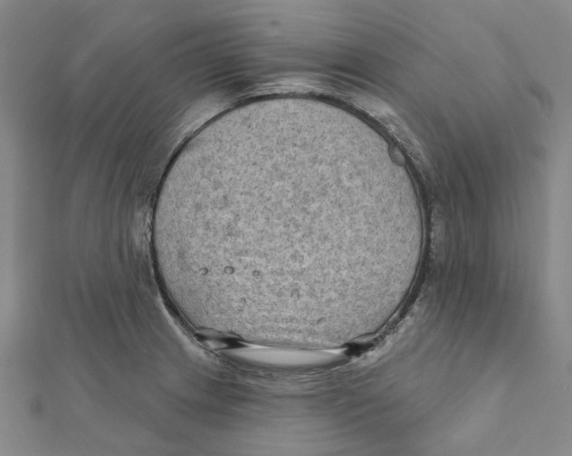 X0000111791233200908201125