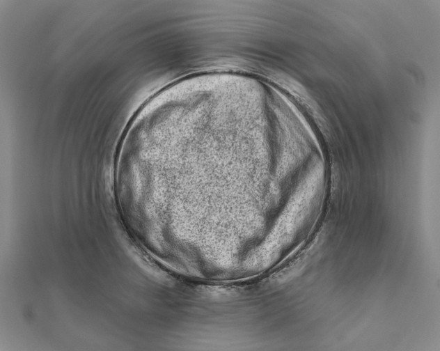 X0000111791234200908201125