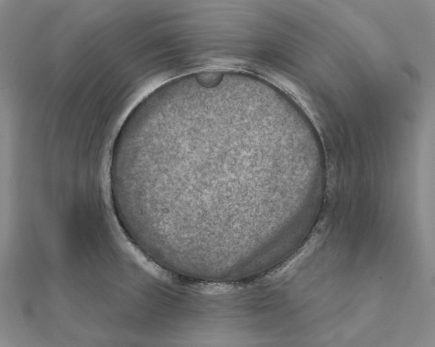 X0000111791235200908201125