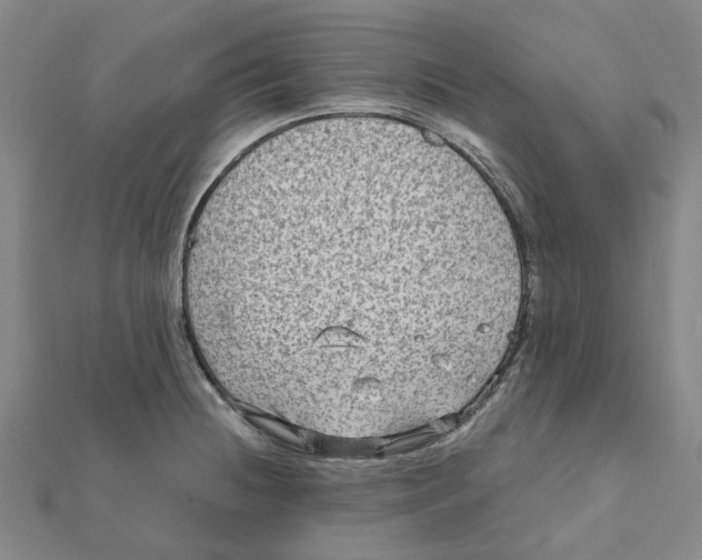 X0000111791236200908201125