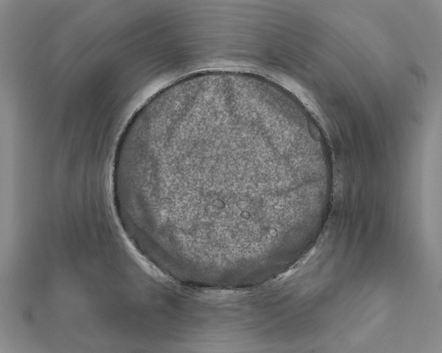 X0000111791237200908201125