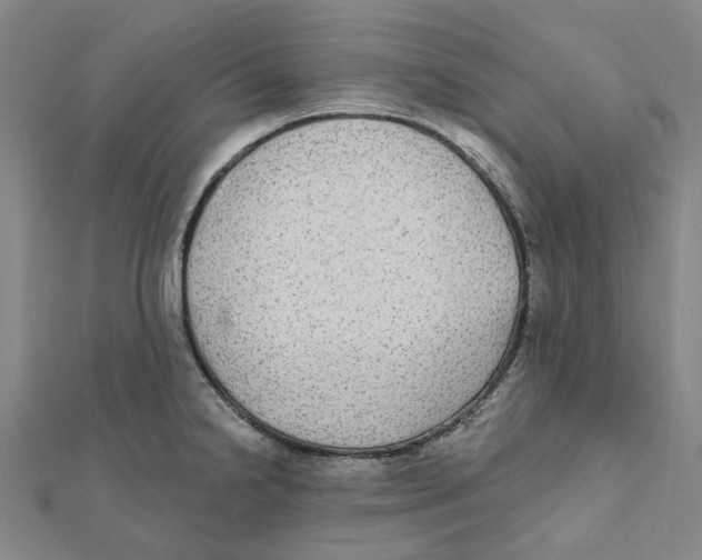 X0000111791238200908201125