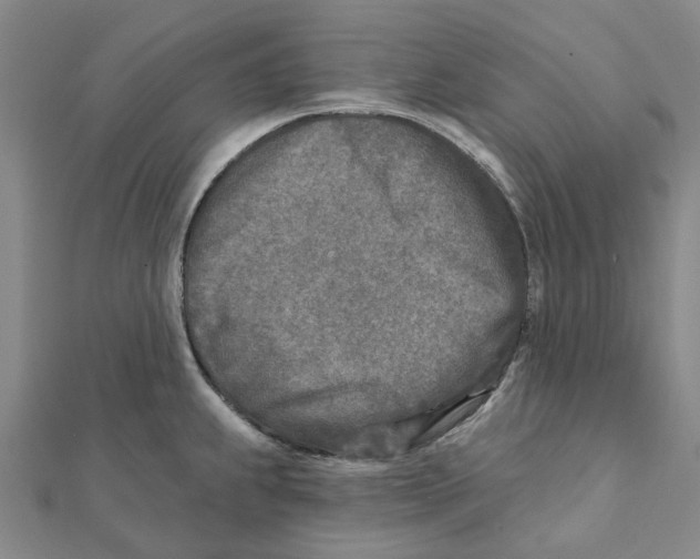 X0000111791239200908201125