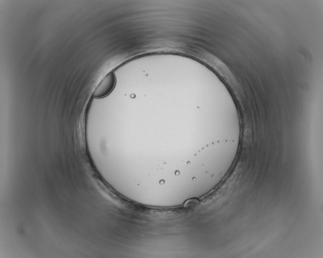 X0000111791242200908201125