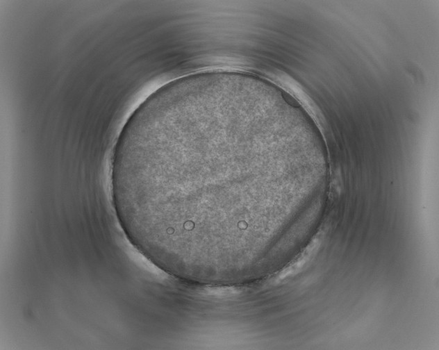 X0000111791243200908201125