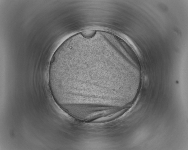 X0000111791244200908201125