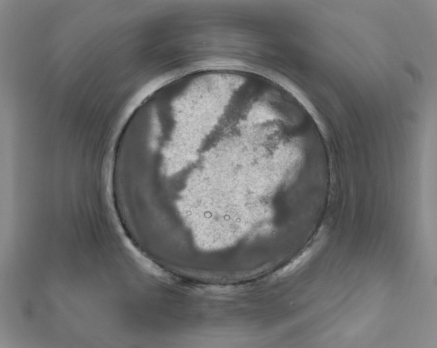 X0000111791245200908201125