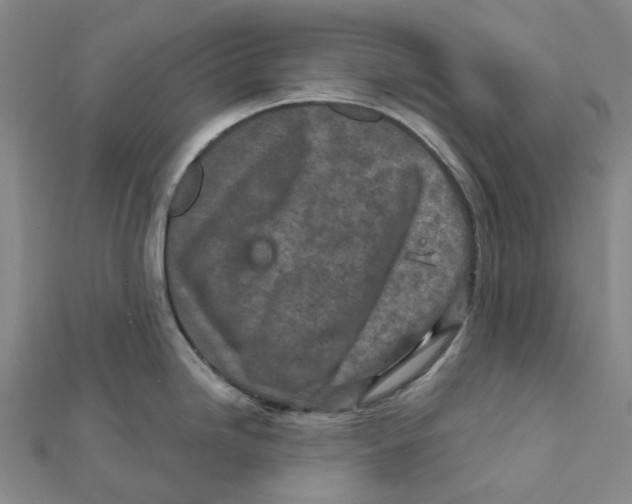 X0000111791246200908201125