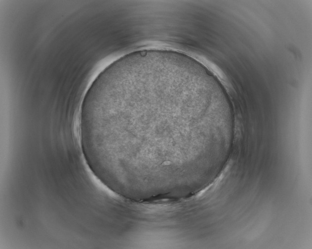 X0000111791247200908201125