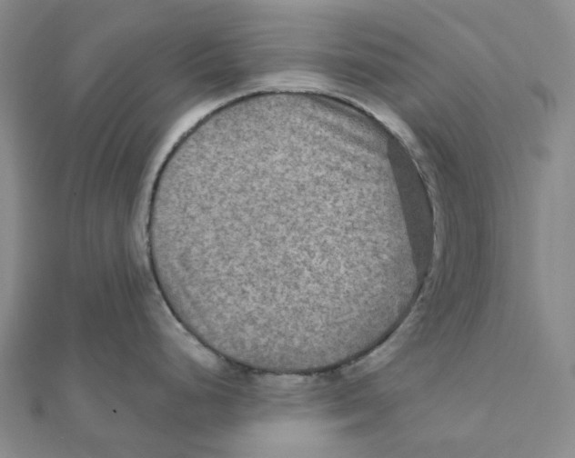 X0000111791248200908201125