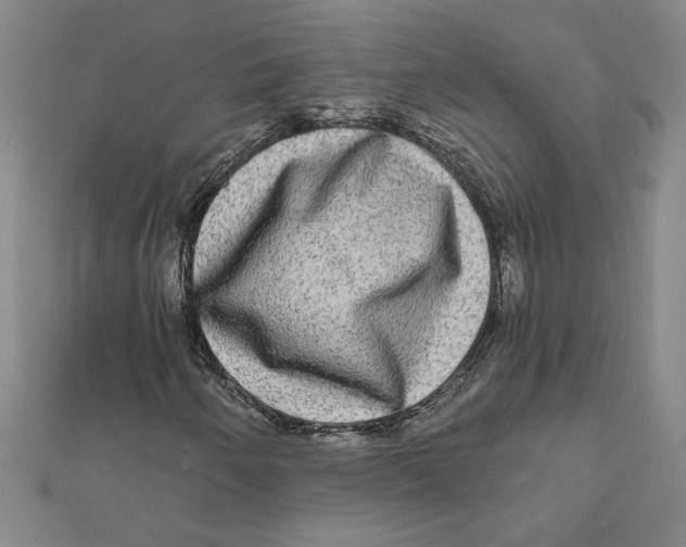 X0000111791250200908201124