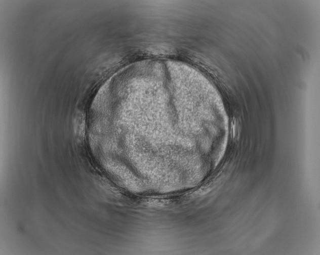 X0000111791251200908201124