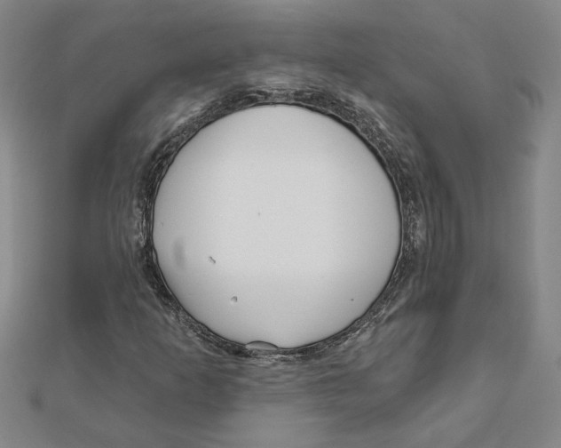 X0000111791253200908201124