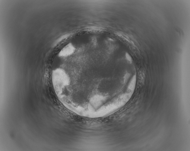 X0000111791254200908201124