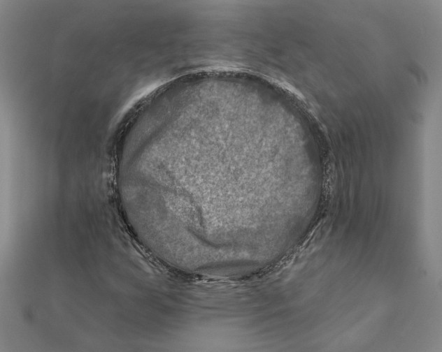 X0000111791255200908201124