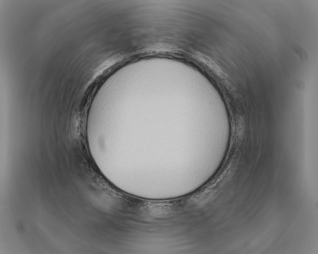 X0000111791258200908201124