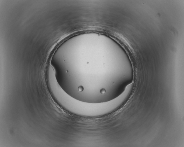 X0000111791260200908201124