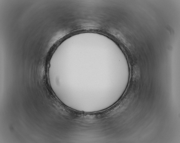 X0000111791261200908201124