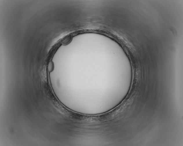 X0000111791262200908201124