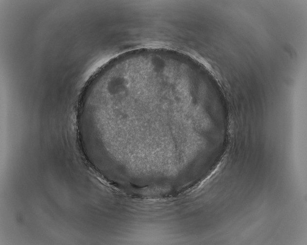 X0000111791263200908201124