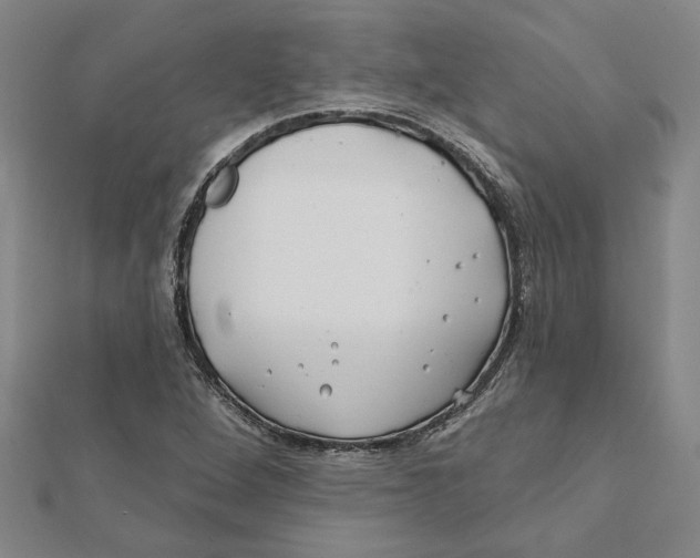 X0000111791264200908201124