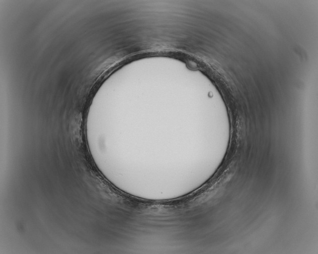 X0000111791265200908201124