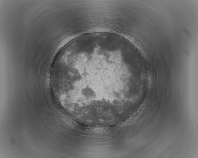 X0000111791266200908201124