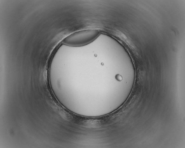 X0000111791268200908201124