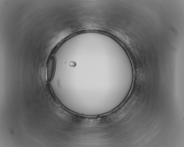 X0000111791269200908201124